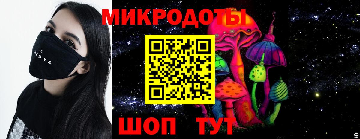Галлюциногенные грибы Psilocybe Кувандык